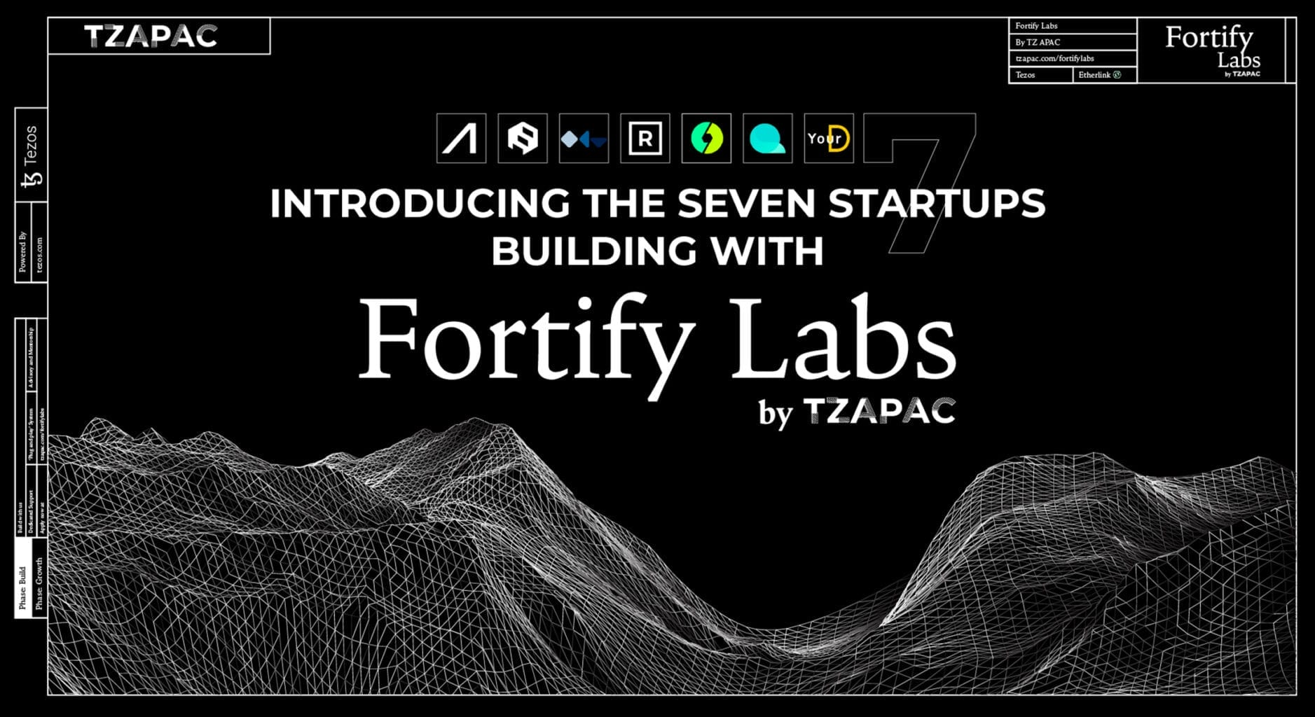Fortify Labs Tezos